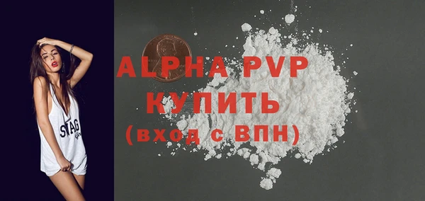 спайс Корсаков