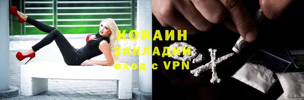 спайс Корсаков