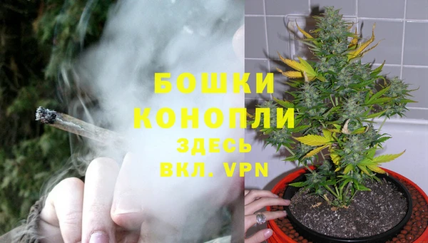 твердый Костерёво