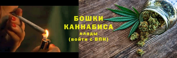 спайс Корсаков