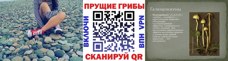 Псилоцибиновые грибы Magic Shrooms  Купить  Краснослободск 